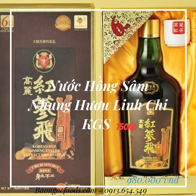 hongsamnhunghuoulinhchi