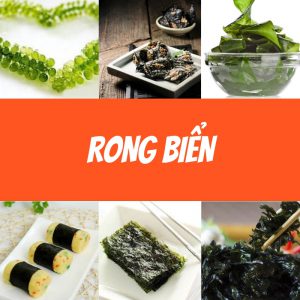 Rong biển