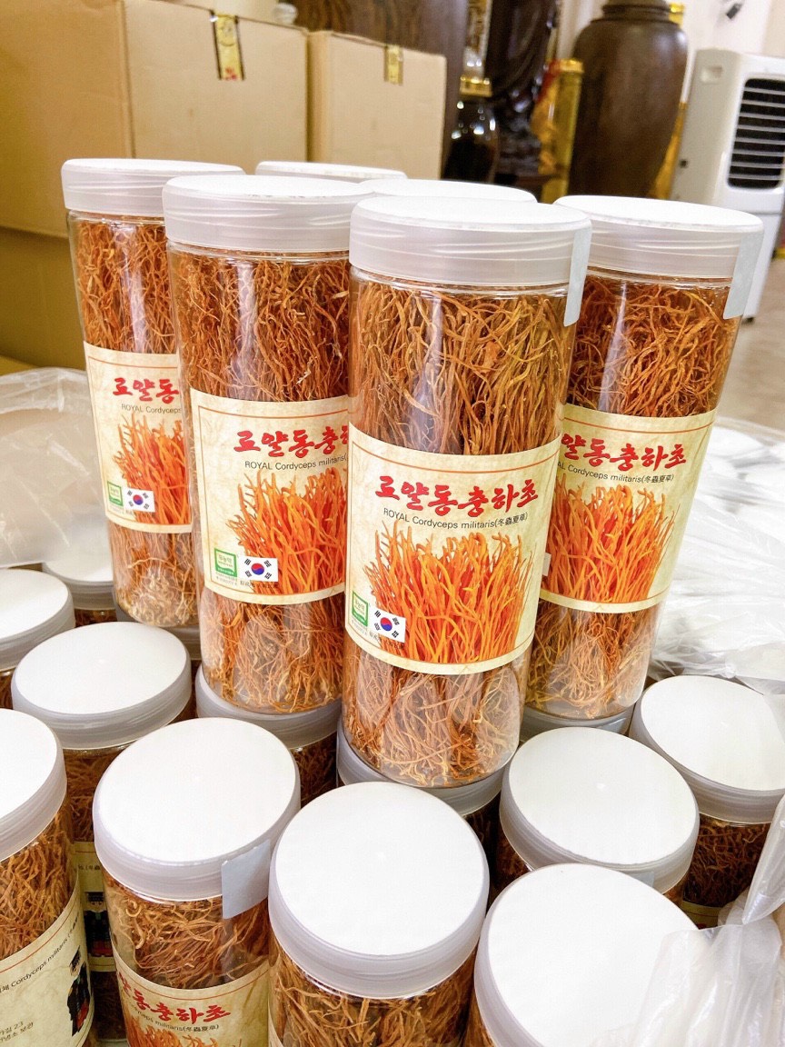Đông trùng 100 G Hàn Quốc